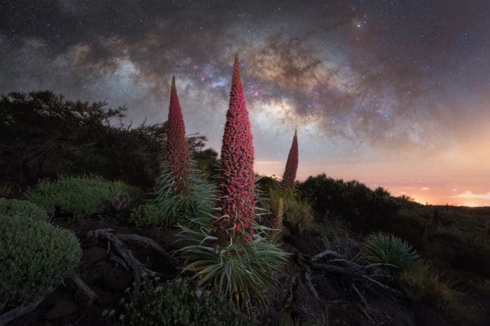 Descubre Tenerife